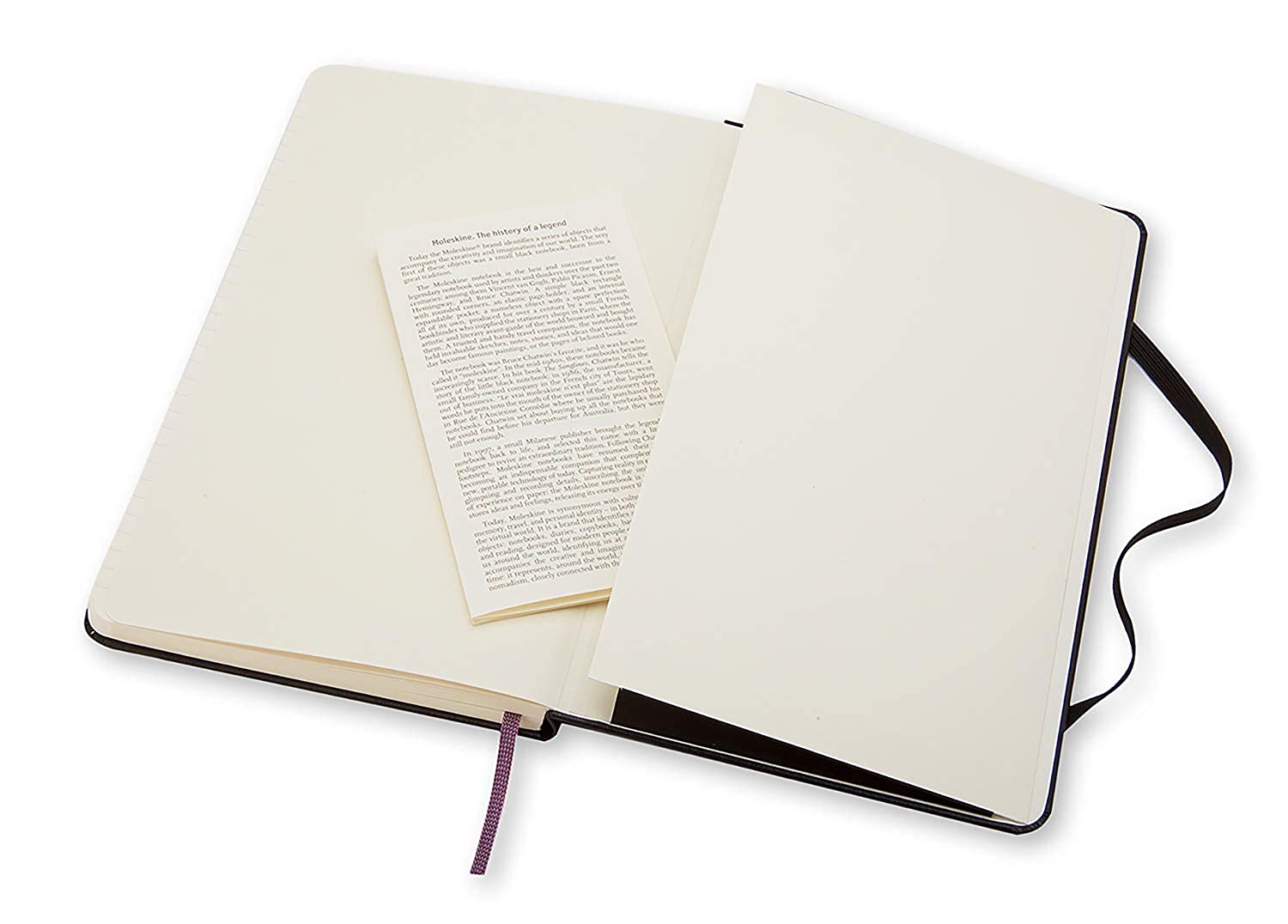 Moleskine Notebook (Hard Cover) – A5 Large Black