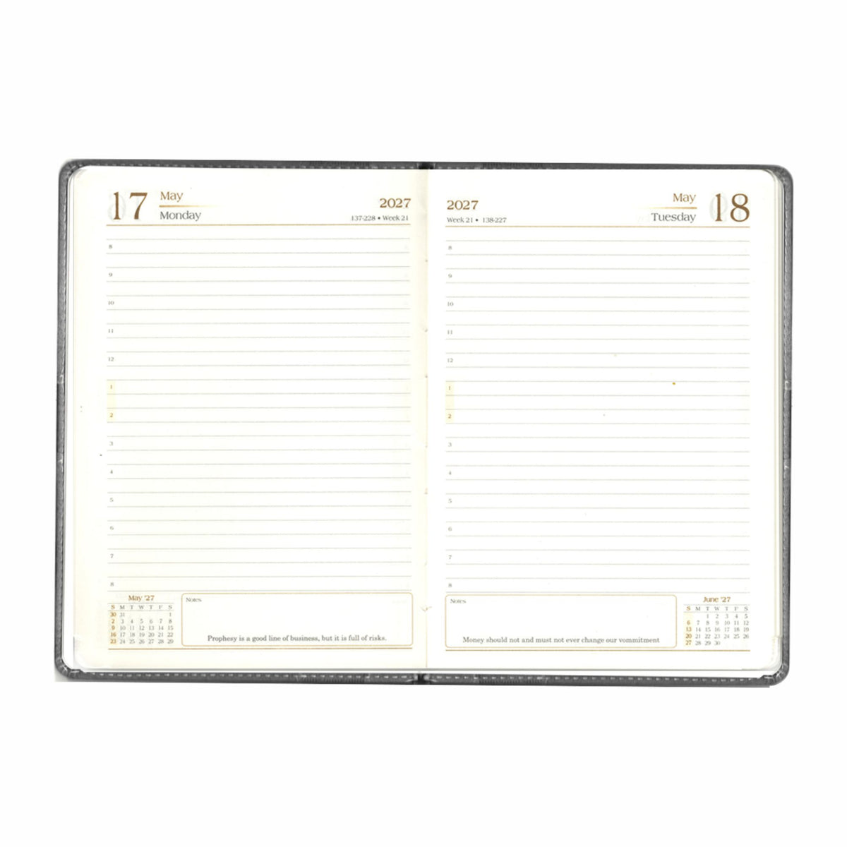 PENORA - A5 DATED DIARY 2027